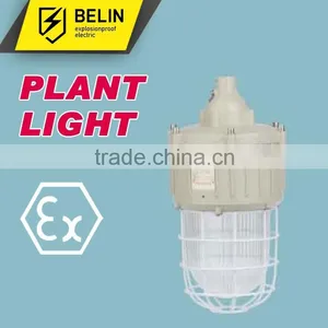CCd-92 Explosion Proof Light thumbnail-1