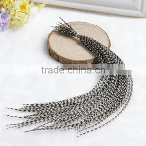 2015 New Arrival Factory Price Real Rooster Feather Hair Extensions Pure Color Feathershair Extension Quality Choice thumbnail-6