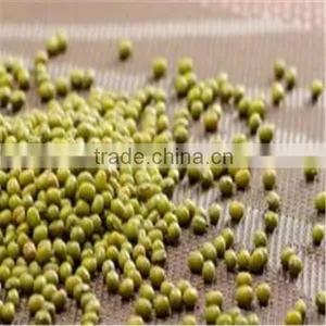 Food Grade Green Mung Beans(Heilongjiang) thumbnail-1