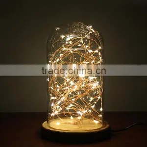 Wholesale Zhongshan Factory 2016 Led String Light Bottle Decoration Light Supplier's Choice thumbnail-1
