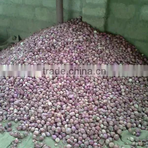 Lal Fresh Onions thumbnail-4