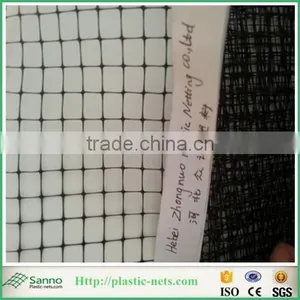 High Density Plastic Flat Netting for Oyster thumbnail-1