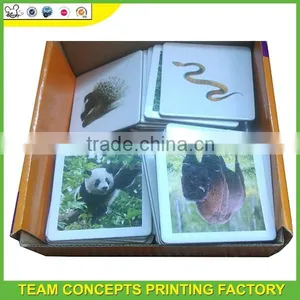 Kids Memory Cards in Dubai thumbnail-2