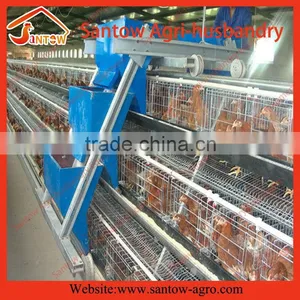 Chicken Use Welded Wire Chicken Layer Cages Automatic Broiler Feeding System thumbnail-1