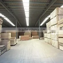 Linyi Haoxing Economic And Trade Co., Ltd. company overview - view 3 thumbnail