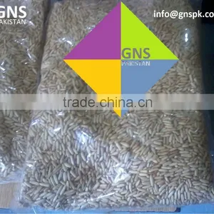 Fine Quality Pine Nuts Kernels - Pakistan Origin thumbnail-4