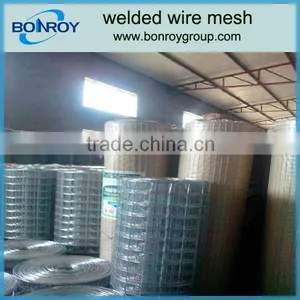 Welded Wire Mesh thumbnail-1