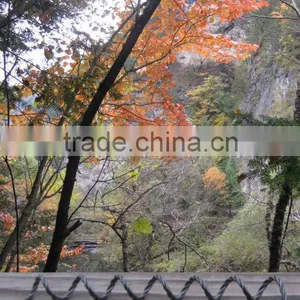 Tungsten Filament W 99.95% Door Shape thumbnail-1