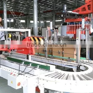 Case Packer/Case Packing Machine thumbnail-2