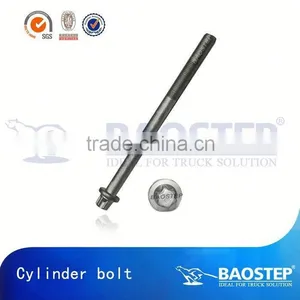 BAOSTEP Highest Quality Eco-Friendly Manufacturer Insulator Bolt thumbnail-1
