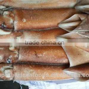Frozen Argentina Illex Squid thumbnail-2