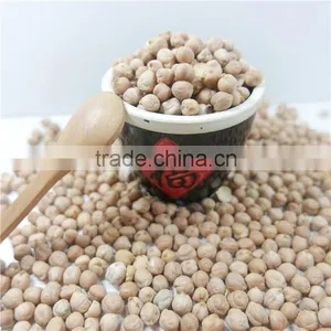 Best Quality Chickpea Market Price HPS White Chick Pea Beans thumbnail-3