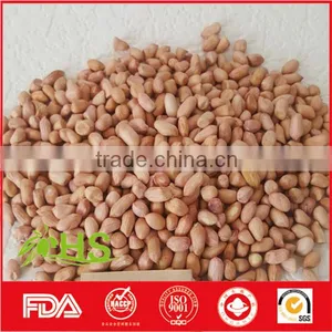Fresh and New Blanched Peanut Kernel thumbnail-1