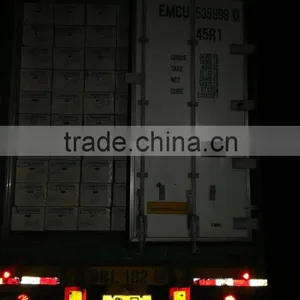 Shandong Pear thumbnail-5