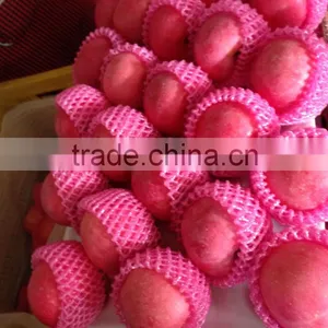 Fresh Chinese Fuji Apple 2014 thumbnail-4