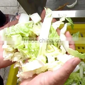 FT-1800 Full Automatic Vibration Drying Machine For Fruit And Vegetable thumbnail-6