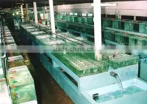 Aquamarines International (pvt) Ltd company overview - view 2 thumbnail