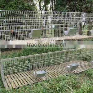 Rabbit Farming Cage/rabbit Breeding Cages/commercial Rabbit Cages thumbnail-1