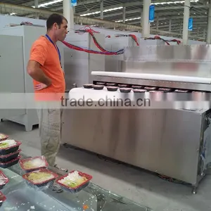 Factory Direct Sales Best Quality Fast Food Box Lunch Microwave Drying Equipment thumbnail-4