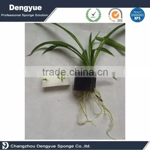 FOAM SPONGE PLANTING VEGETABLE HYDROPONIC GROW SYSTEM 192 PCS. thumbnail-3