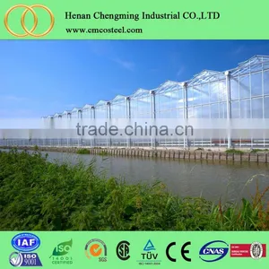 New Design Big Dome Tent/vegetable Greenhouse at Low Price thumbnail-1