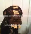 Hot Sale! Best Quality & Price Domestic Dry Dog Food Making Machine in Chenyang Machinery thumbnail-1