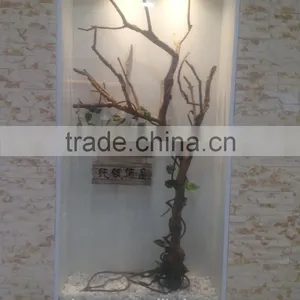 Grade A Rive Garden Decorative Pebbles for Sale for Decoration thumbnail-6