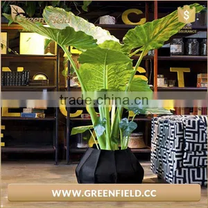 2017 Eco-friendly Gardening Planter Bag Grow Bag thumbnail-5