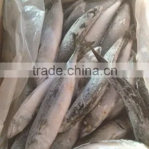 150-200g , Seafrozen Pacific Mackerel , 15kg Ctn thumbnail-4