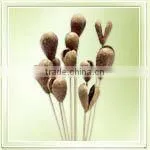 Mike Fruit On Stem thumbnail-1