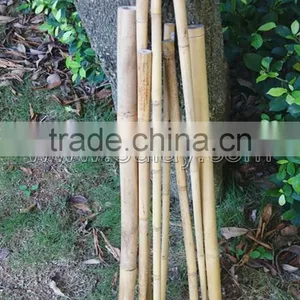 Thick Wall and Strong Tonkin Bamboo Canes for Supporting Plants at Cheap Price thumbnail-4