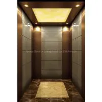 Bronze Brushed Stainless Steel Home Lift Passenger Elevator thumbnail-1