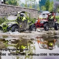 Chinese Shaft Drive Transmission System and 250cc Displacement UTV 250 thumbnail-1