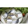 Sell Spanish Mackerel Cuts thumbnail-1