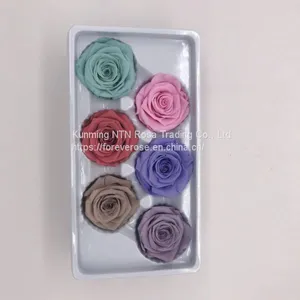 Preserved Flowers for Decoration thumbnail-1