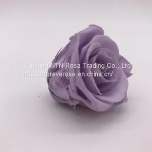 Wholesale3-4cm Elegant Real Touch Preserved Rose Flower thumbnail-3