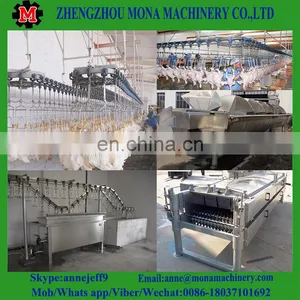 Halal Chicken Slaughter Machine Line/Poultry Slaughter Machine thumbnail-4