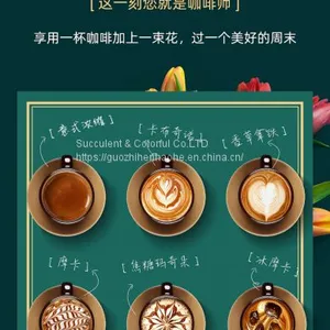Coffee Makers thumbnail-3