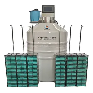 Small Vapor Phase Dewar Flask Liquid Nitrogen Container thumbnail-1