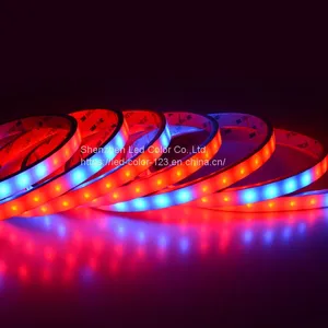 5*13mm Silicone Tube WS2815 LED Strip IC Build-in 6 Pin Coloful Flex Digital Neon Led Strip Outdoor IP65 Led Strip Light thumbnail-5