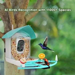 Ringsee 2.4 GHz Wi-Fi Smart Bird Feeder Camera Solar Charging 2.0MP HD Ip65 Weatherproof Network Camera for Outdoor Use thumbnail-1