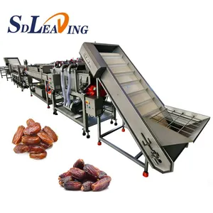 Turnkey Project Industrial Palm Dates Processing Machine Full Automatic Dates Washing Grading Pitting Packing Production Line thumbnail-5
