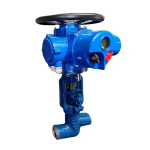 Manufacturer Direct Sales Electric Globe Valve Carbon Steel Power Station Valve thumbnail-4