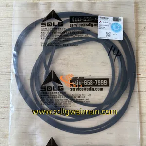 Original SDLG 3030900113 SEALING RING For LG936L LG956L Wheel Loader Spare Parts thumbnail-1