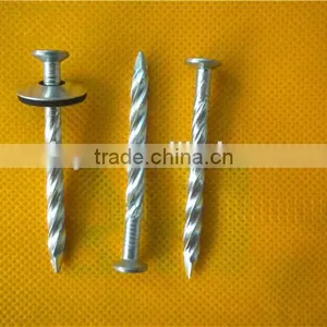 Top Selling Galvanized Twisted Nails China Manufacturer thumbnail-6