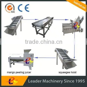 Leader Excellent Performance Mango Peeling and Pulping Machine for Juice thumbnail-3
