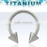 Titanium Circular Barbell thumbnail-1