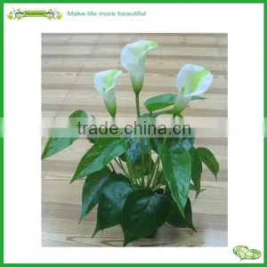 Making Artificial Flower Bonsai Supplies thumbnail-1