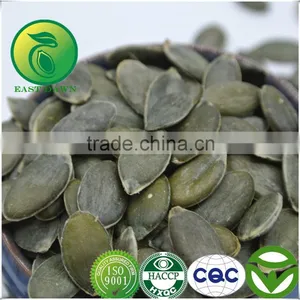 Grade AA Pumpkin Seeds Kernels GWS Oil For Sale thumbnail-1
