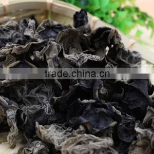 Dry Black Fungus Mushroom thumbnail-5